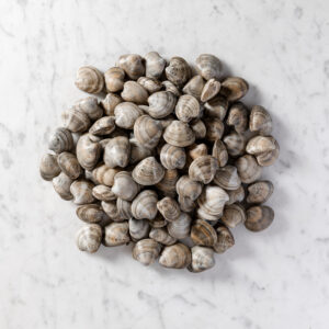 vongole lupino adriatico giganti